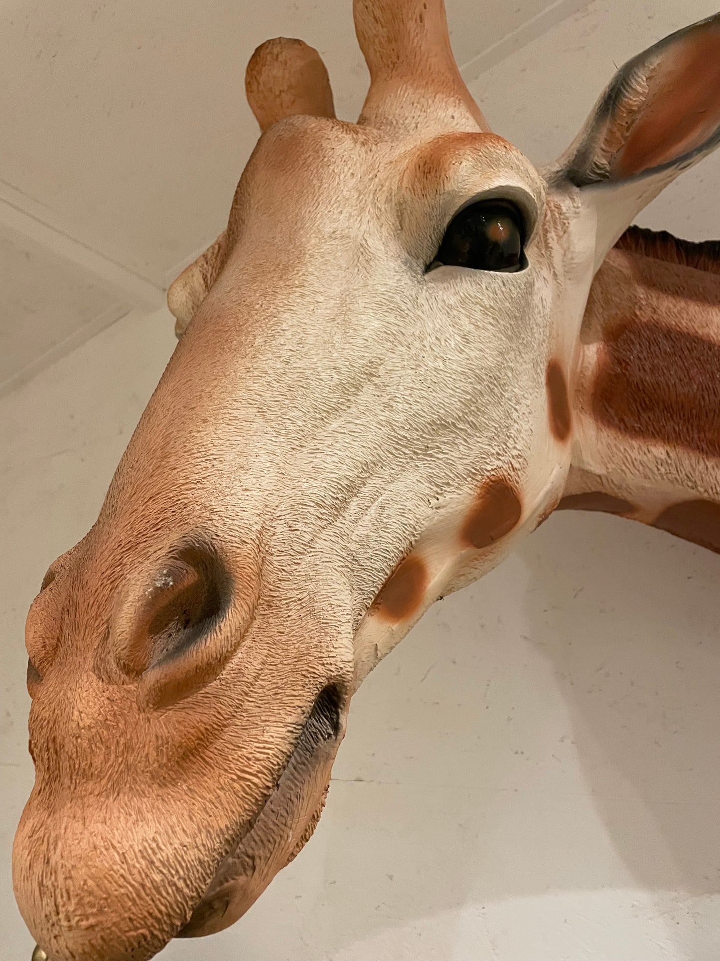 Grote Giraffe als wandbeeld Tuinbeeld – Realistisch Dierenbeeld voor Babykamer of Buiten 120cm