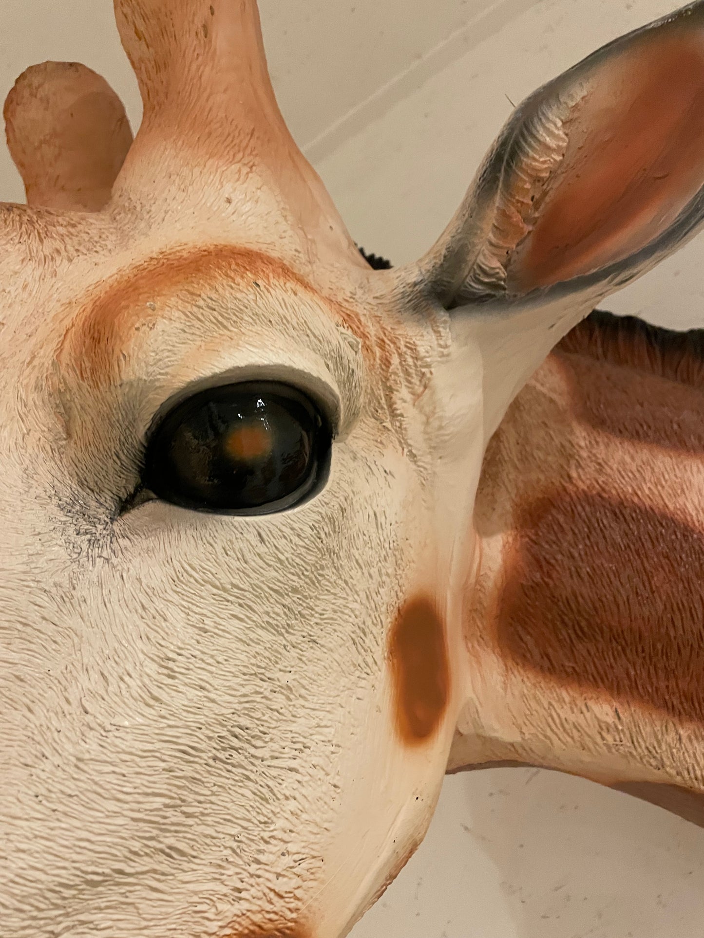 Grote Giraffe als wandbeeld Tuinbeeld – Realistisch Dierenbeeld voor Babykamer of Buiten 120cm