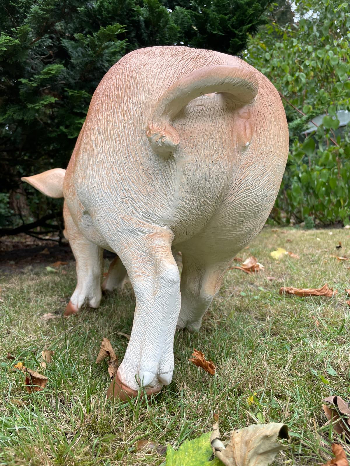 (Tuin)Beeld varken, tuin, gazon, manege, boerderij 85cm