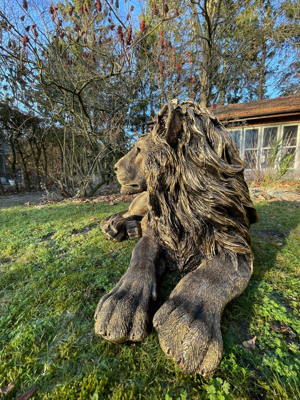 Beeld leeuw brons, woonkamer, tuin, zwembad, vijver 100cm