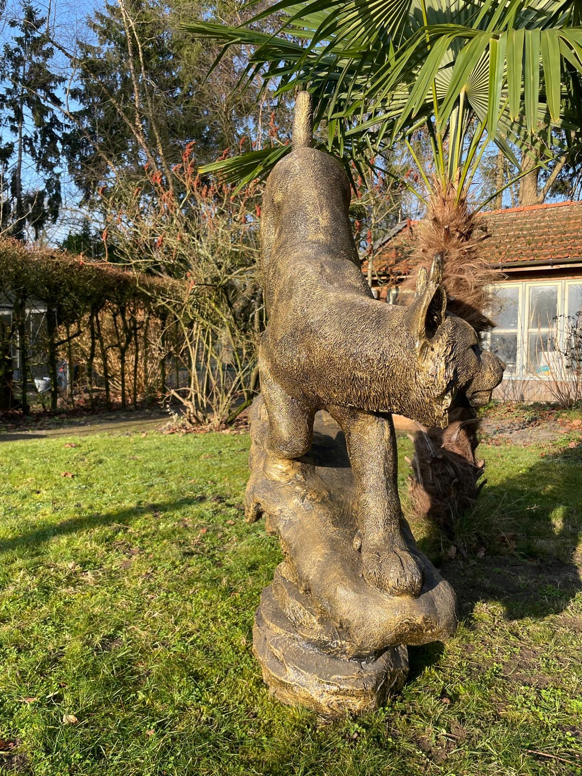 Beeld Lynx, tuin, zwembad, vijver 130cm