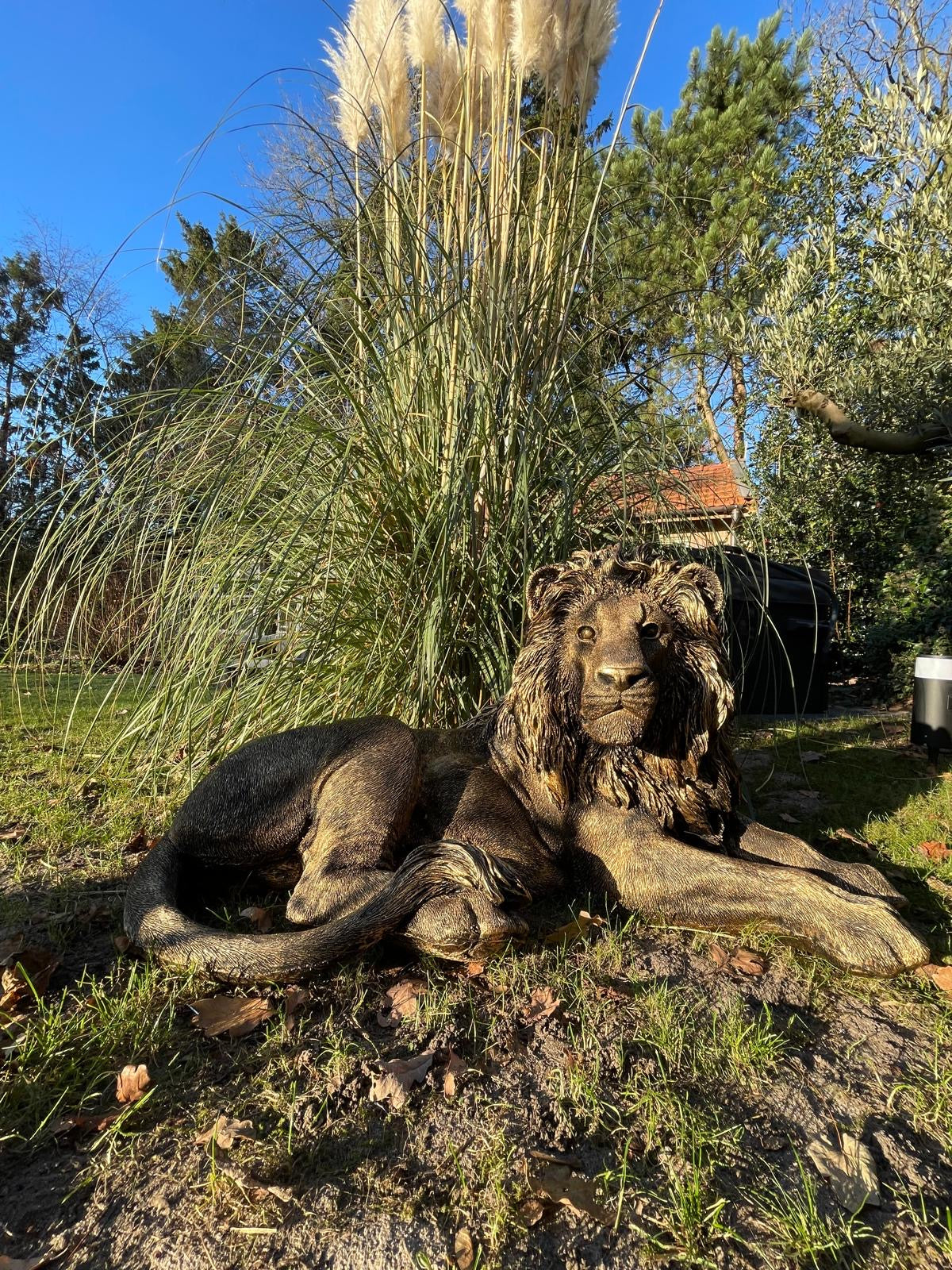 Beeld leeuw brons, woonkamer, tuin, zwembad, vijver 100cm