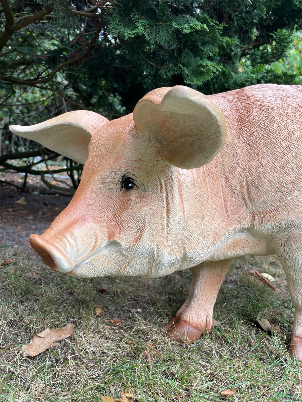 (Tuin)Beeld varken, tuin, gazon, manege, boerderij 85cm