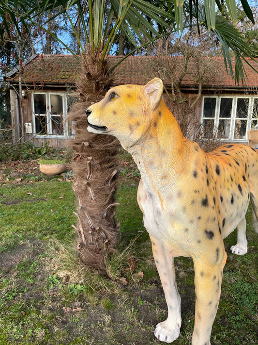 Beeld cheetah, woonkamer, tuin, zwembad, vijver 170cm