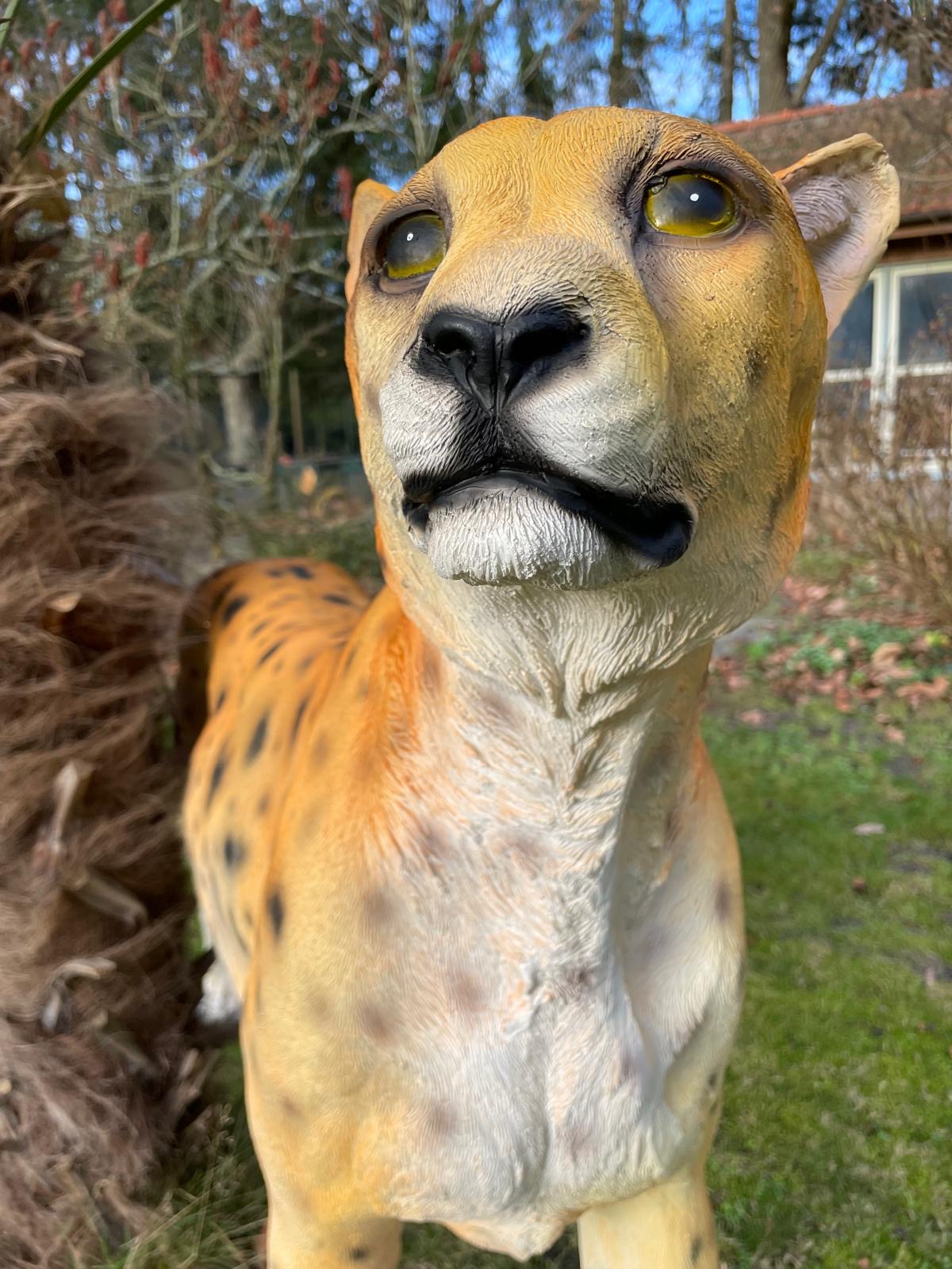 Beeld cheetah, woonkamer, tuin, zwembad, vijver 170cm
