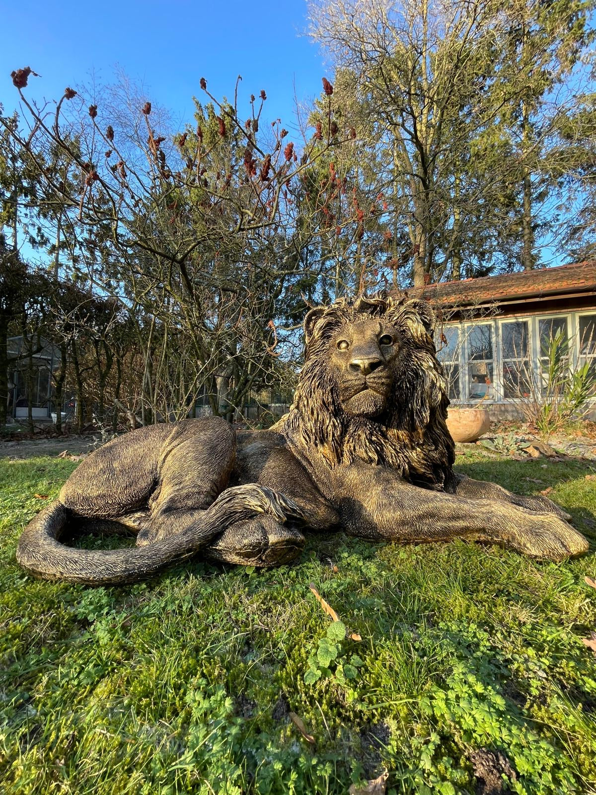 Beeld leeuw brons, woonkamer, tuin, zwembad, vijver 100cm