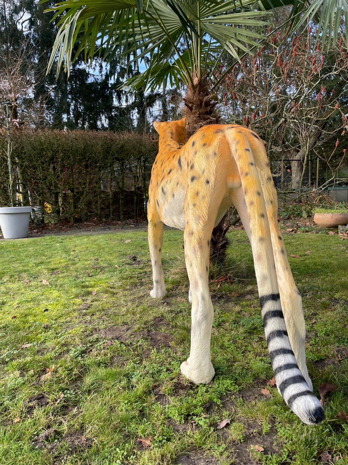Beeld cheetah, woonkamer, tuin, zwembad, vijver 170cm