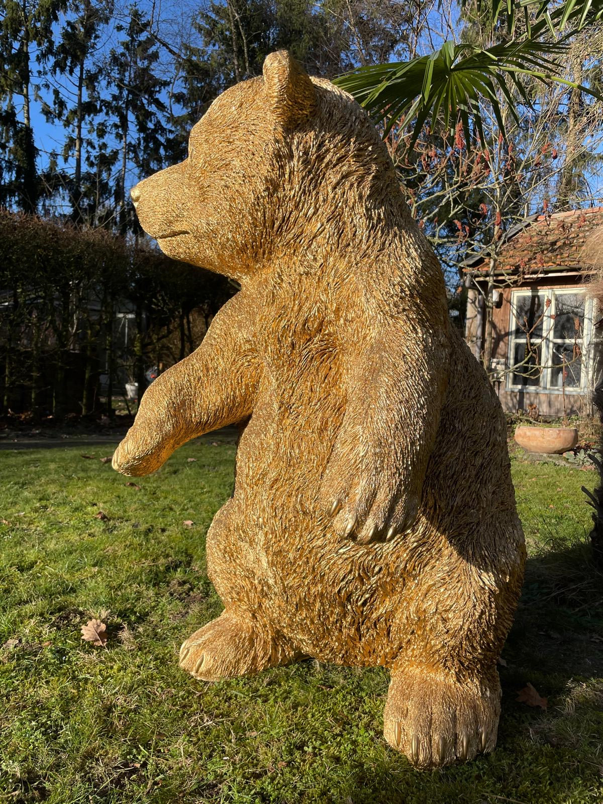 (Tuin)beeld Gouden beer, woonkamer, baby, zwanger 105 cm