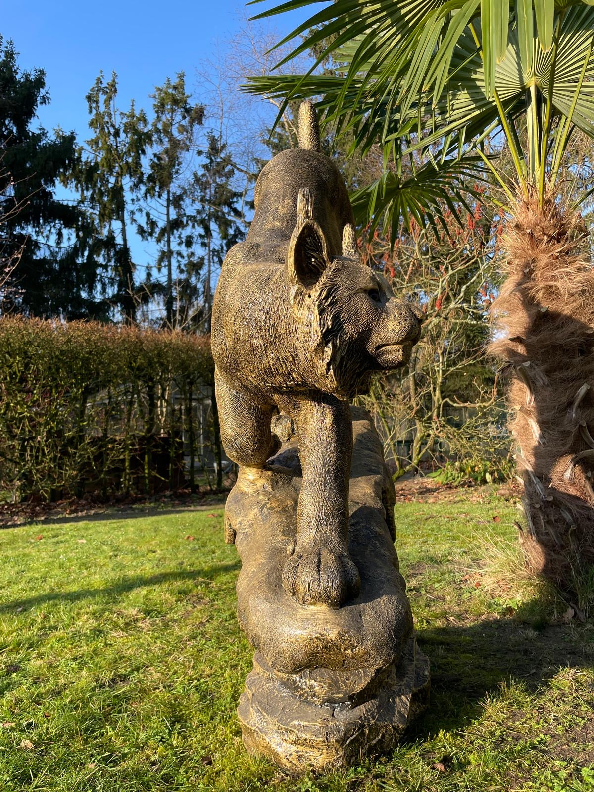 Beeld Lynx, tuin, zwembad, vijver 130cm