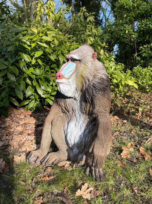 Mandril baviaan aap beeld tuin dierentuin 66cm