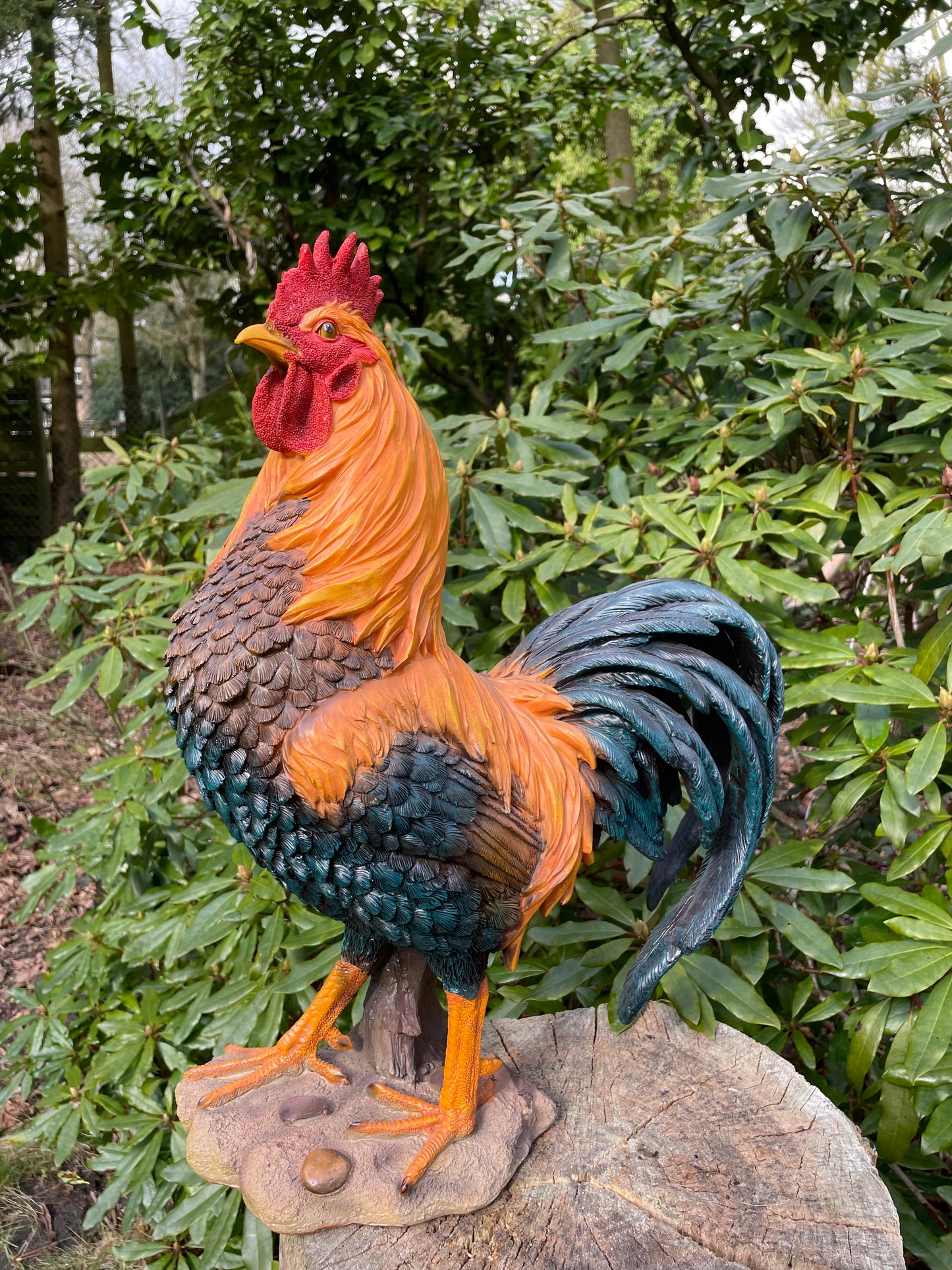 Beeld Haan, tuin, vijver, gazon, boerderij 35cm