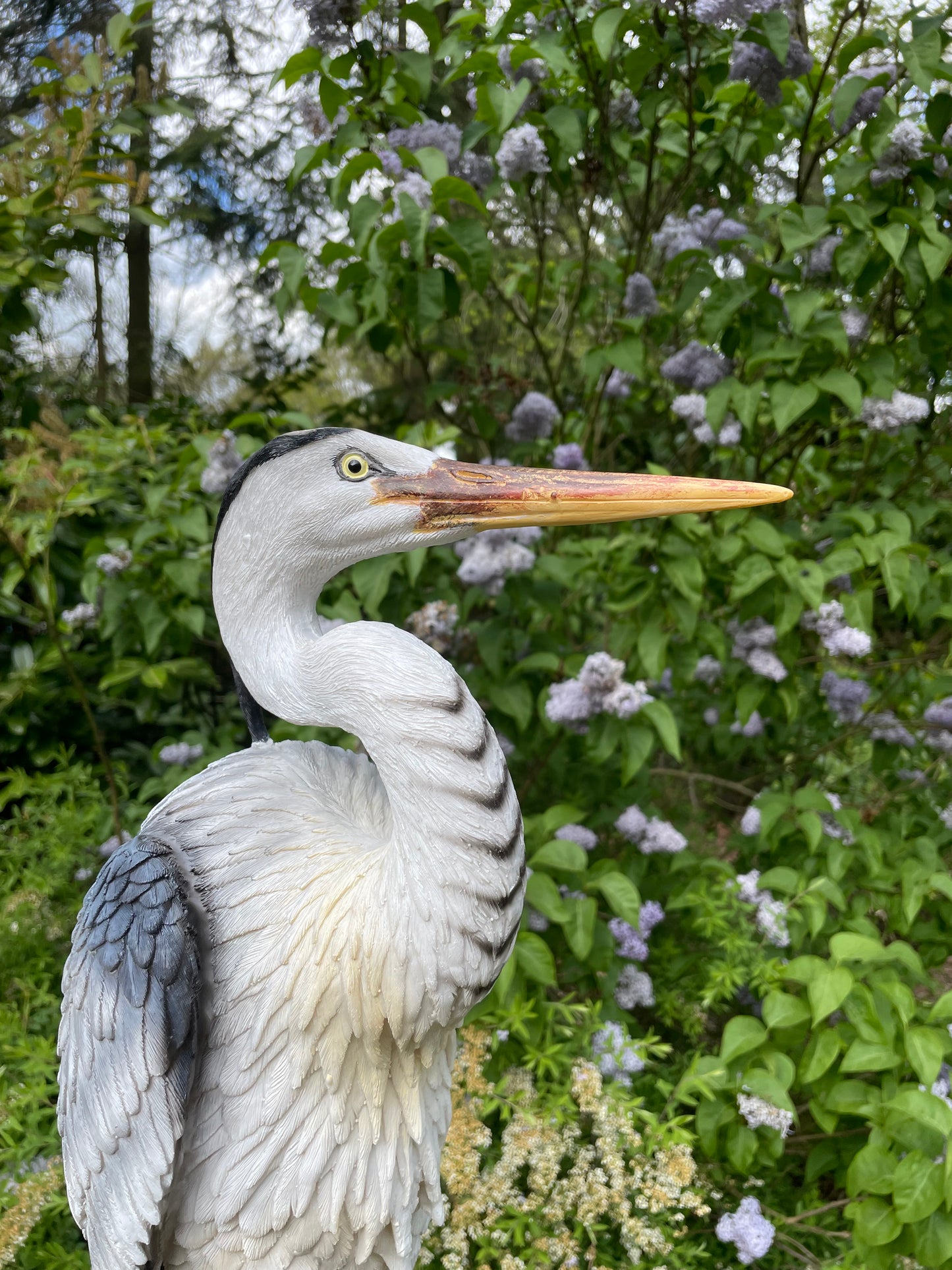 Beeld Reiger, gazon, tuin, vijver, dierentuin 80cm