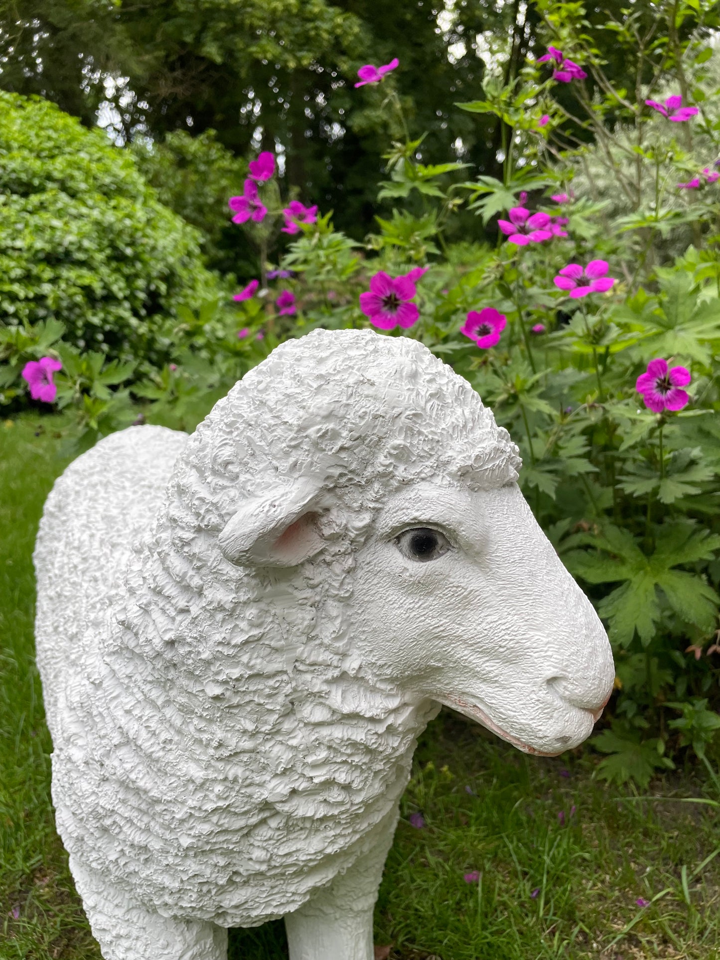 Set Merino wolschapen, gazon, tuin, boerderij 70-65cm