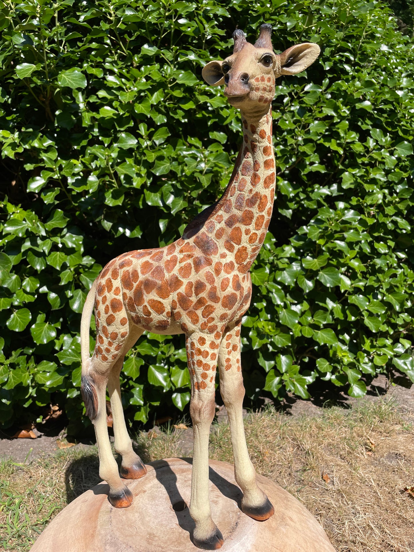 Giraf, staand, tuin, woonkamer, dierentuin 55cm
