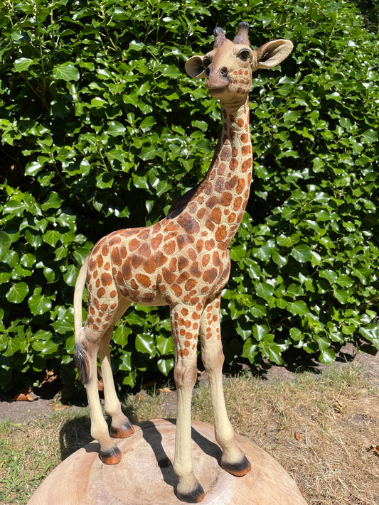 Giraf, staand, tuin, woonkamer, dierentuin 55cm