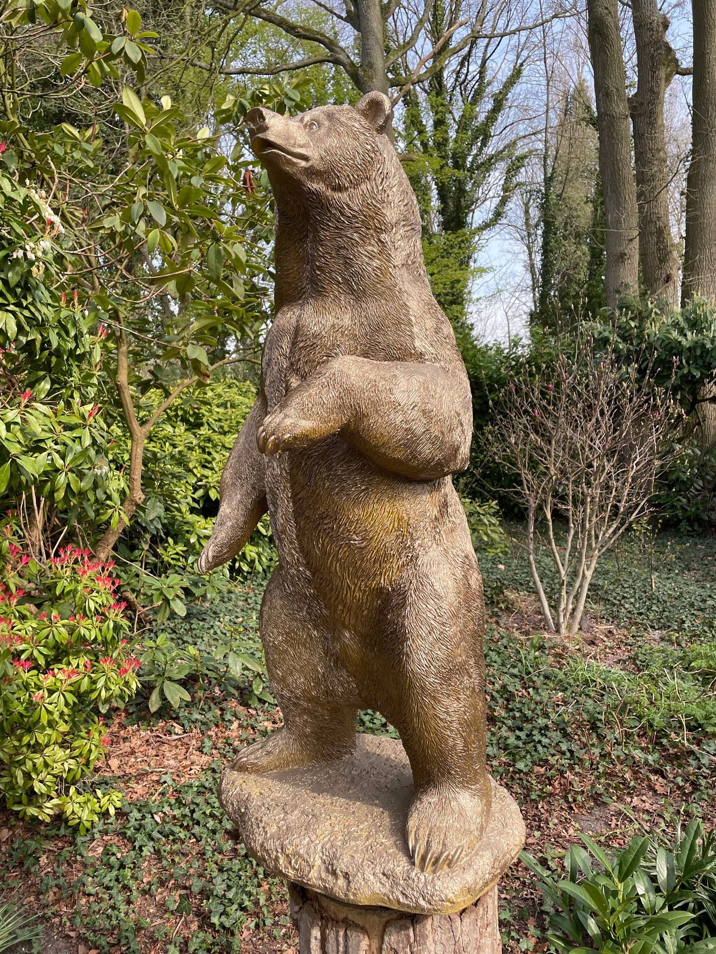 Beeld Beer, goud, tuin, gazon, manege, 120cm
