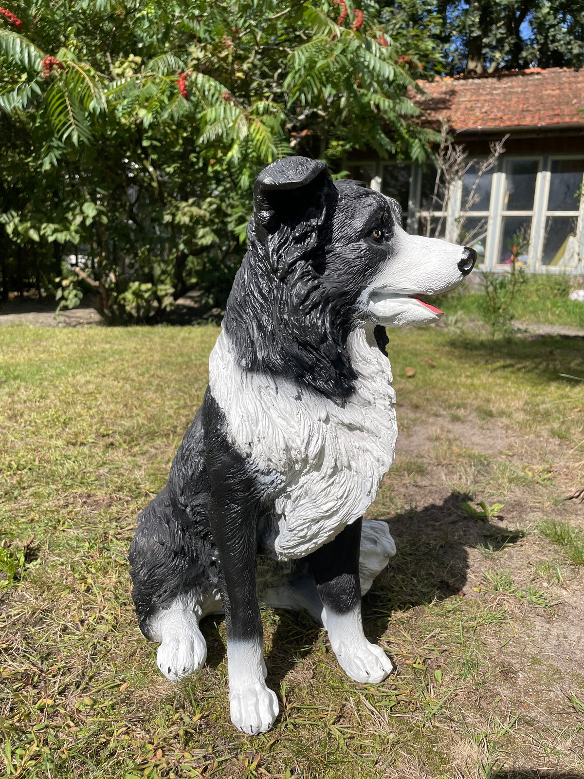 (Tuin)beeld Bordercollie zit, hond, tuin, kennel 50cm