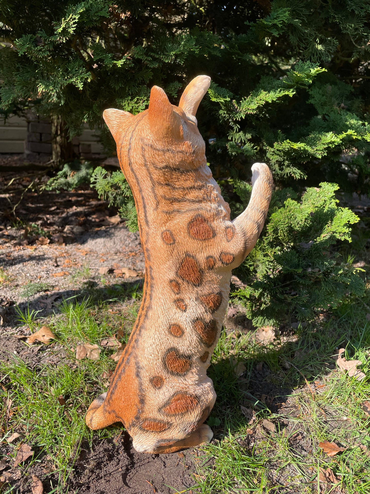 Poes, kat, tuin, gazon, kitten, boerderij 50cm