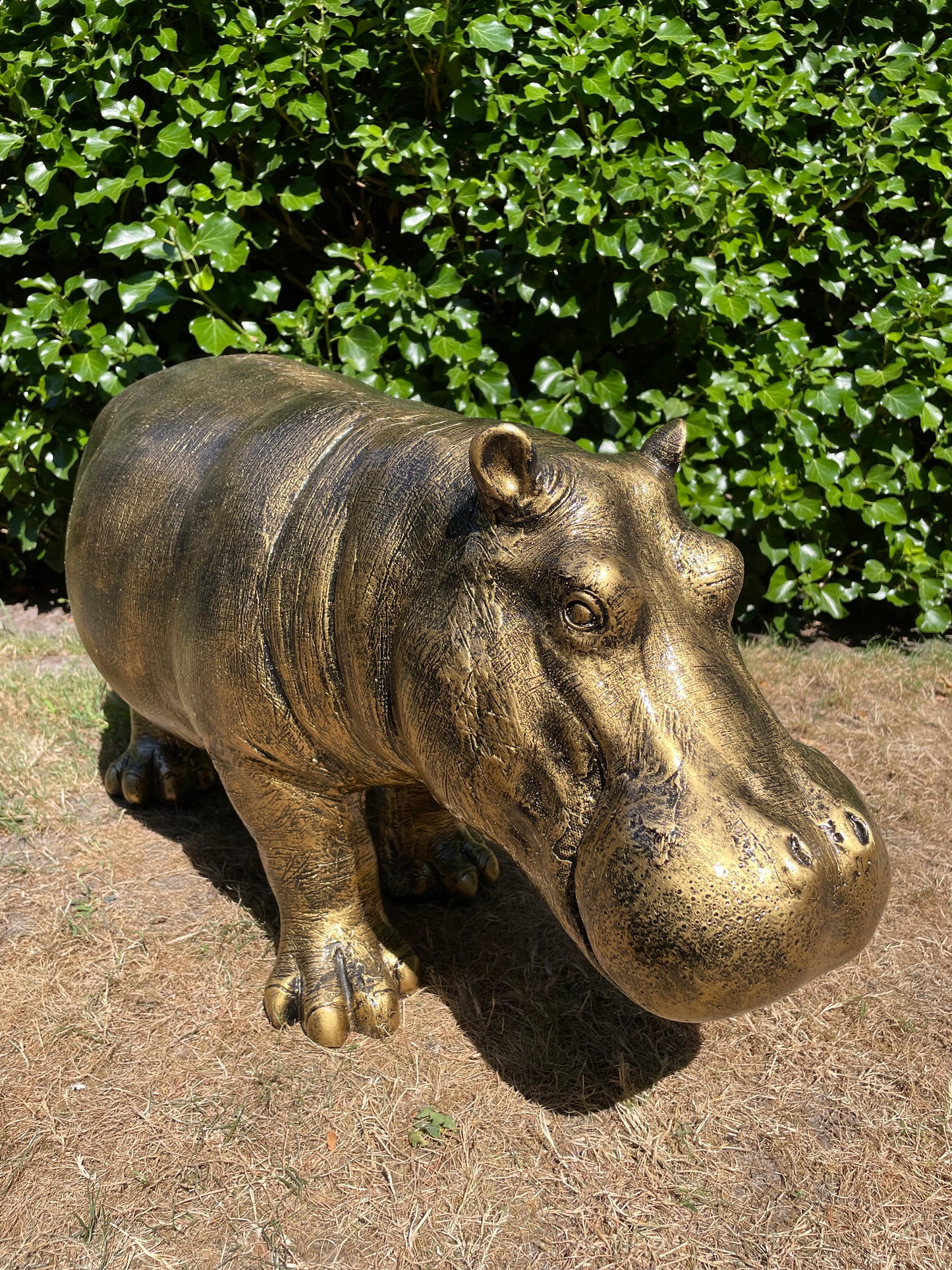 Beeld Nijlpaard, hippo, vijver, tuin 90 cm