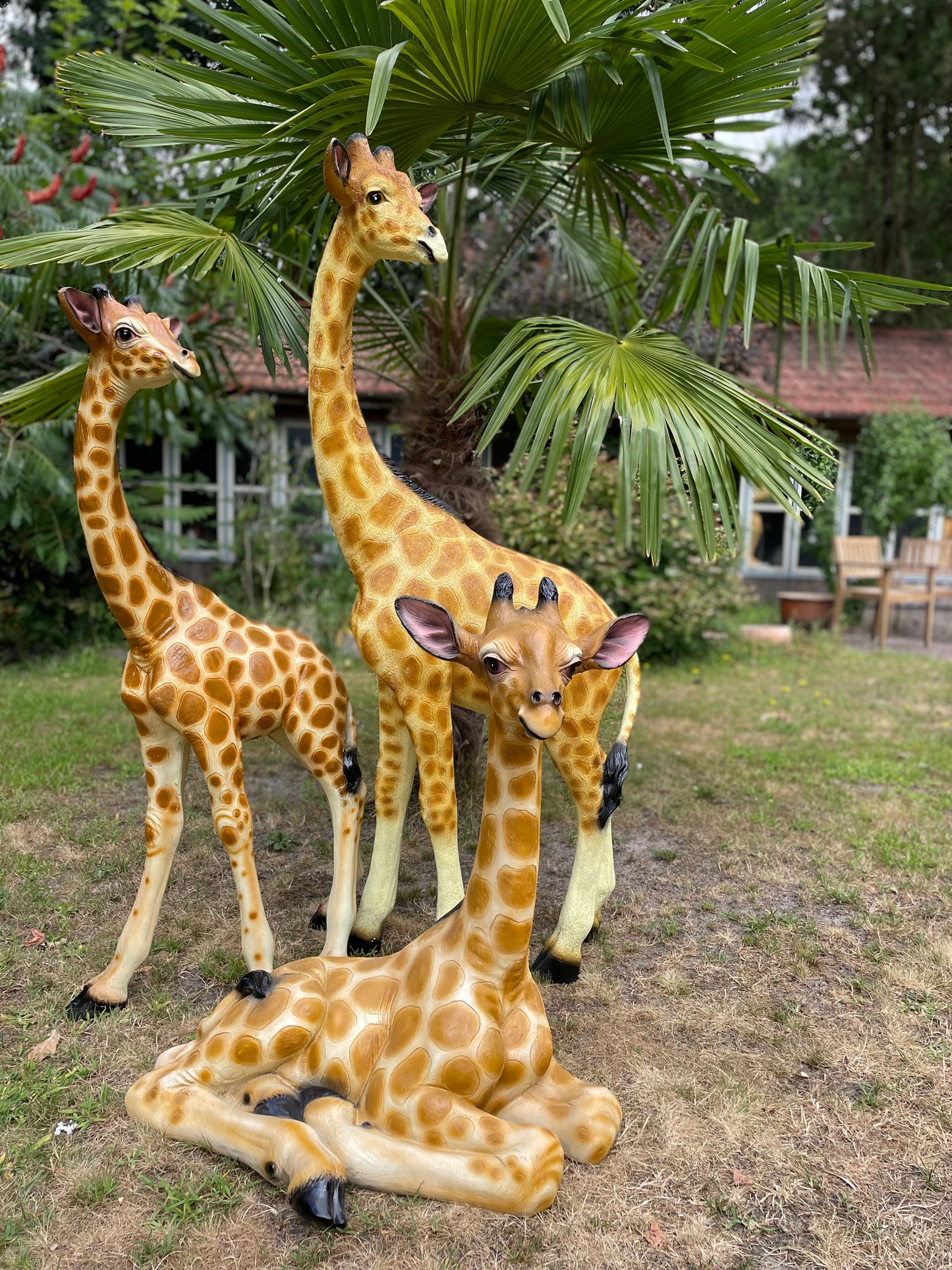 Grote Giraffe Tuinbeeld – Realistisch Dierenbeeld voor Babykamer of Buiten 150cm