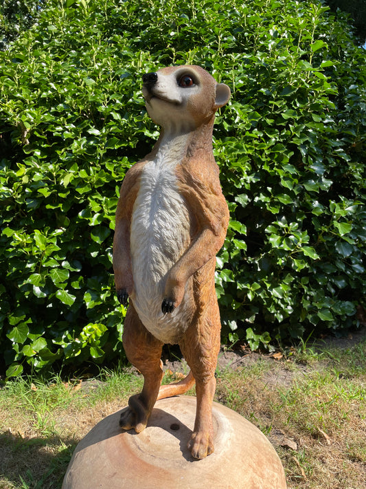 Beeld Stokstaart aap, tuin, vijver, dierentuin 62cm