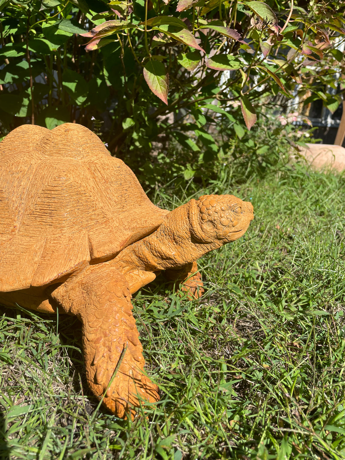 schildpad Roest 40cm