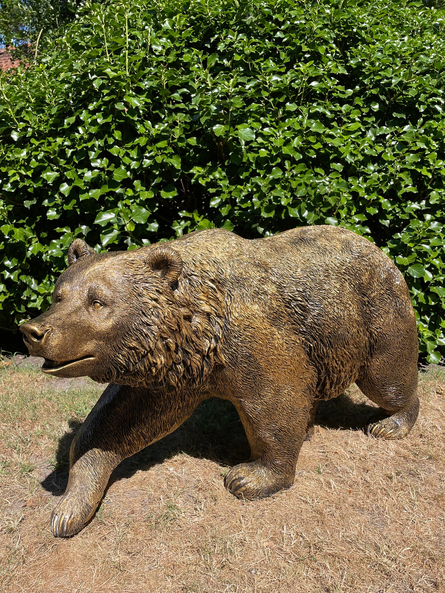 Grizzlybeer lopend brons, vijver, gazon, dierentuin, 110cm