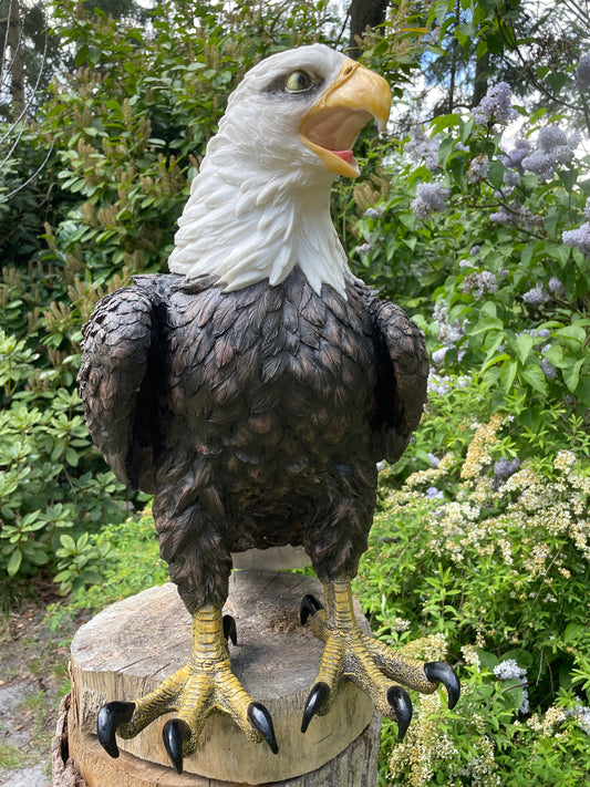 Beeld Arend groot, gazon, tuin, vijver, dierentuin 55cm