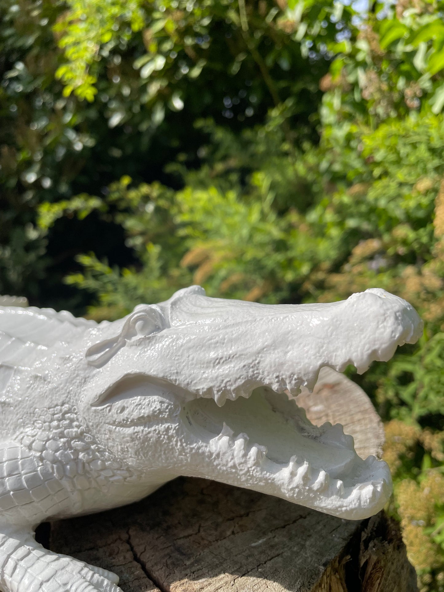 Beeld krokodil tuin, gazon, dierentuin, boerderij 45cm
