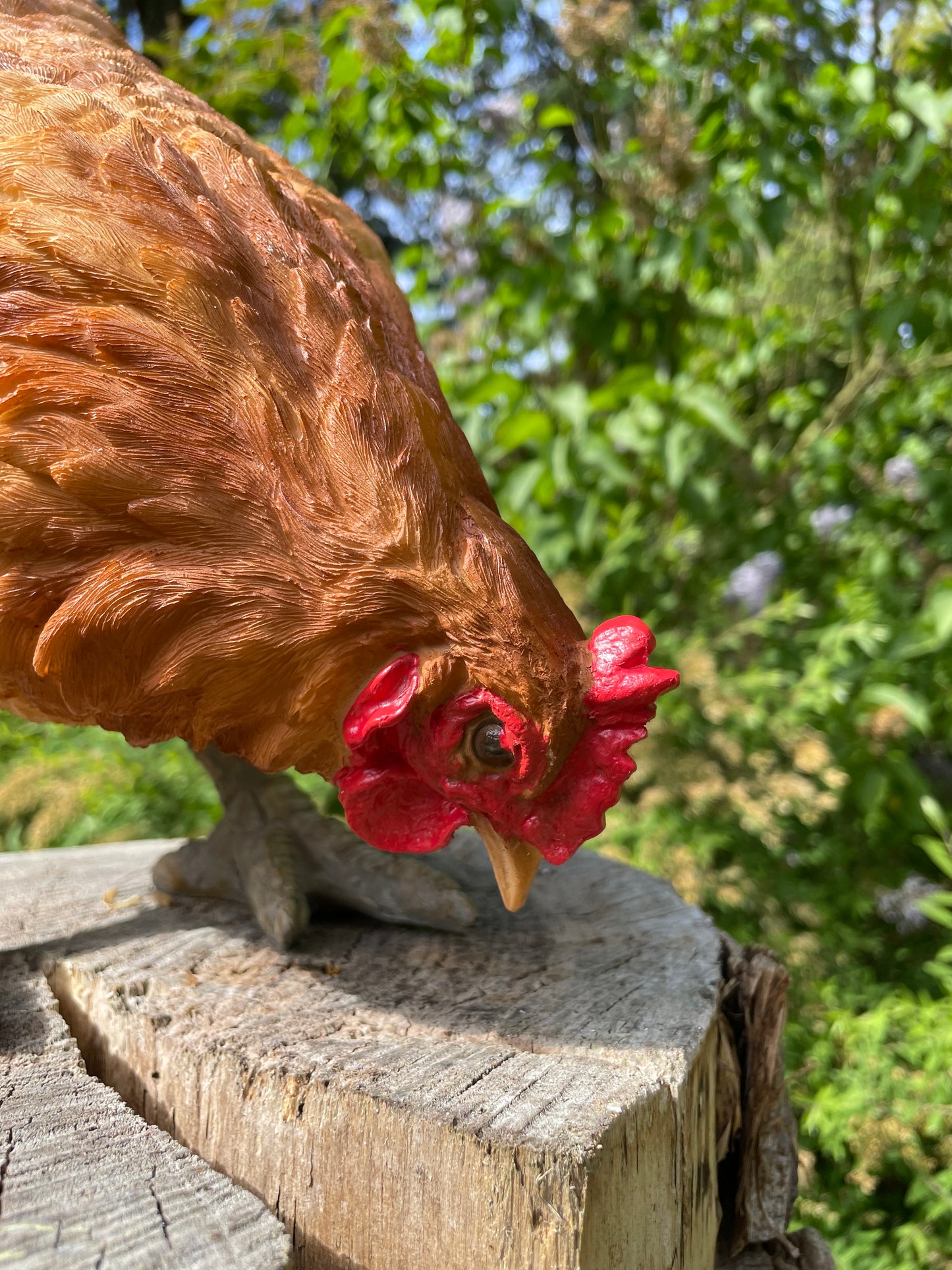 Beeld kip, pikkend, bruin, tuin, gazon, boerderij 35cm