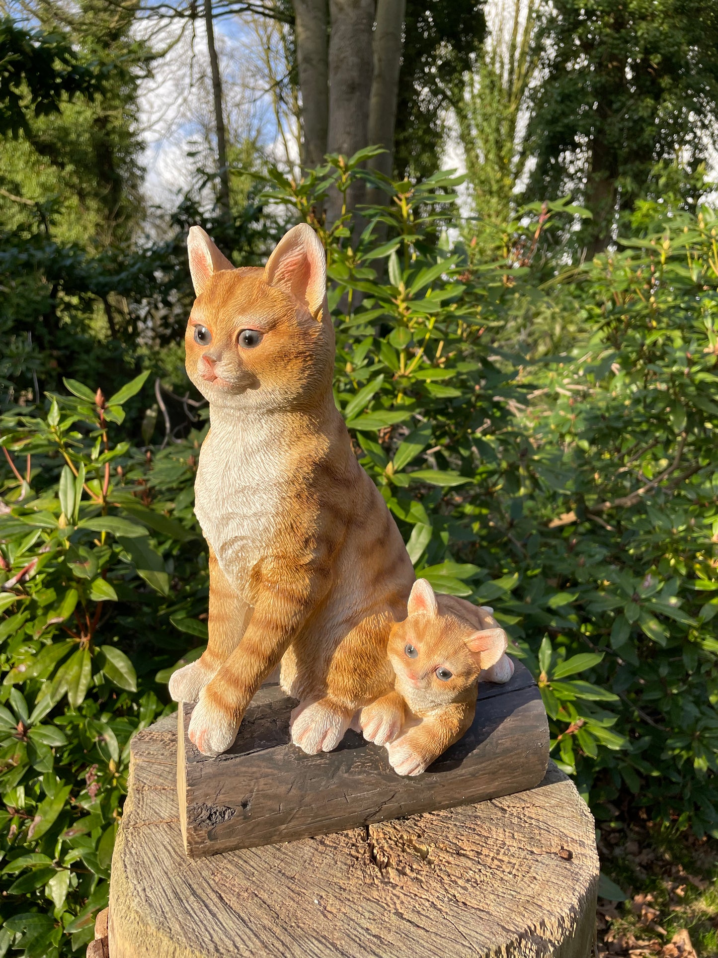 Poes, kitten boomstronk, tuin, gazon, boerderij 37cm