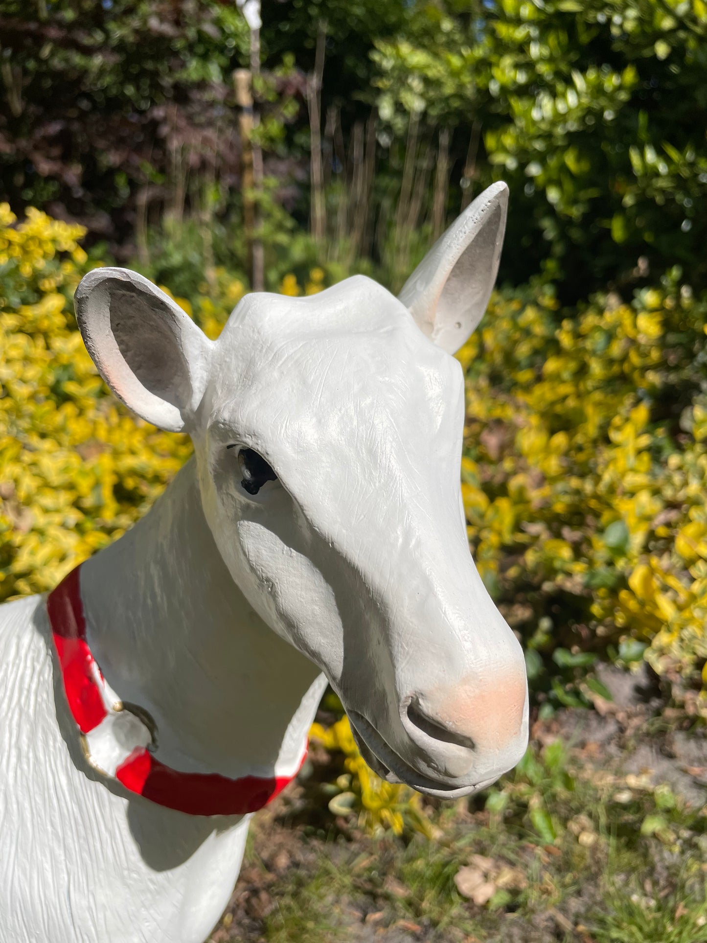 Beeld Geit rode halsband tuin, gazon, boerderij 55cm