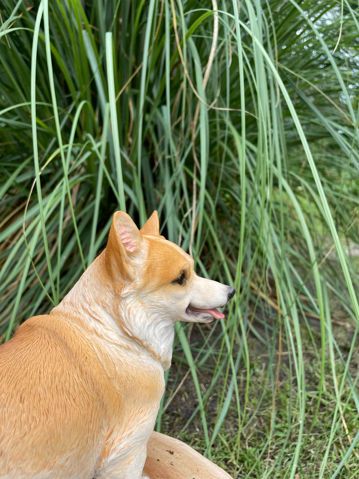 Welsh Corgi hond 30cm