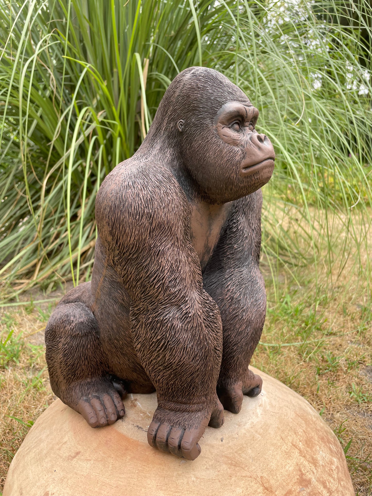 (Tuin)Beeld gorilla, bruin tuin, zwembad, vijver 40cm