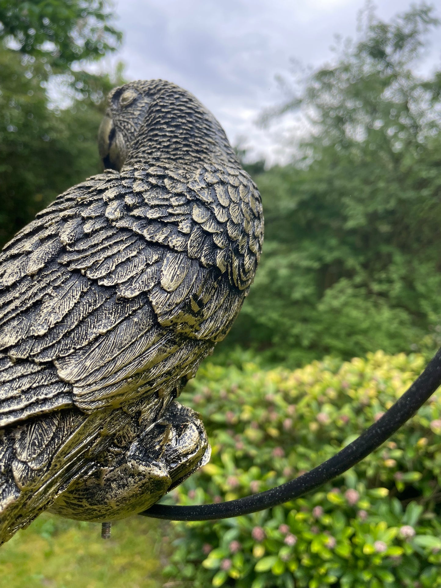 Beeld papegaai Goud tuin, zwembad, vijver, balkon 35cm