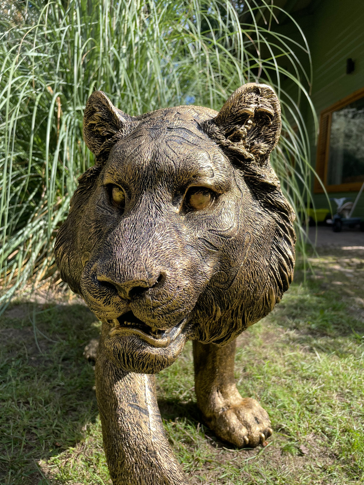Tijger antiek goud gazon, tuin, dierentuin, 140cm