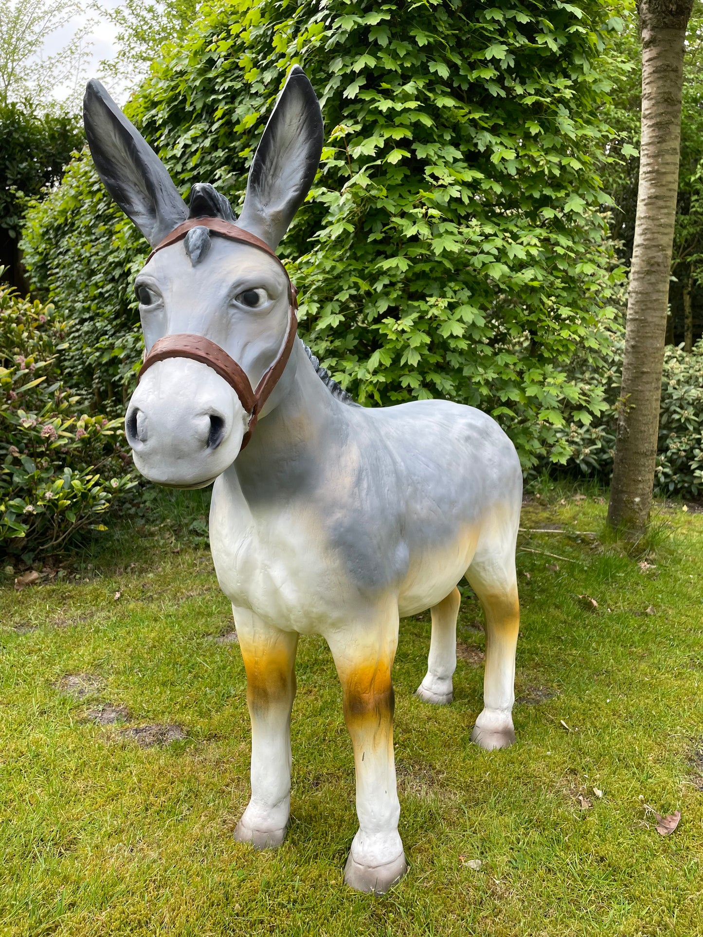 Beeld Ezel grijs tuin, vijver, boerderij, dierentuin 100cm
