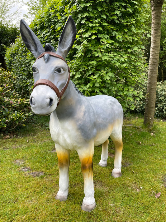 Beeld Ezel grijs tuin, vijver, boerderij, dierentuin 100cm