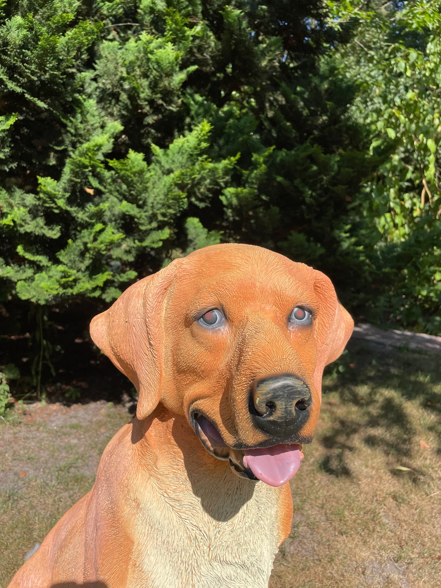 Beeld hond labrador, Golden Retriever donker goud 80cm