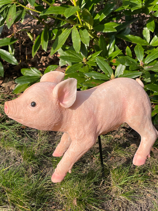 Mini varken (tuin)beeld staand op een staal stokje