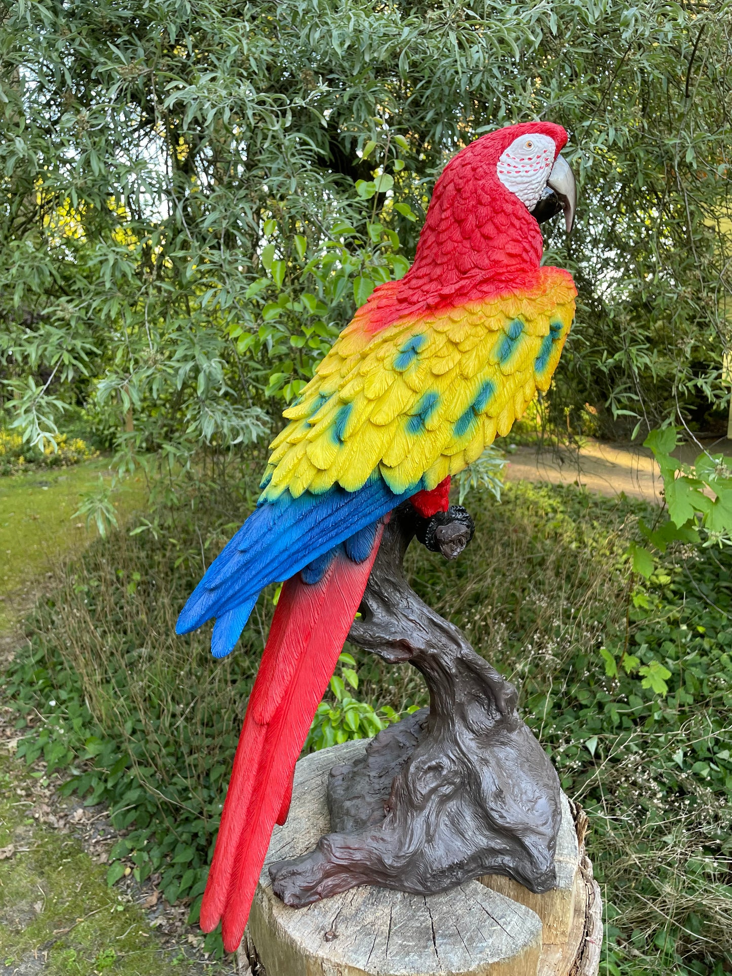 Beeld papegaai Rood boomstronk tuin, vijver, balkon 65cm