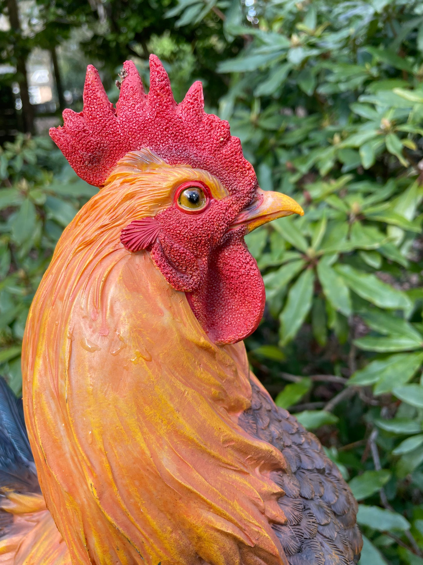 Beeld Haan, tuin, vijver, gazon, boerderij 35cm