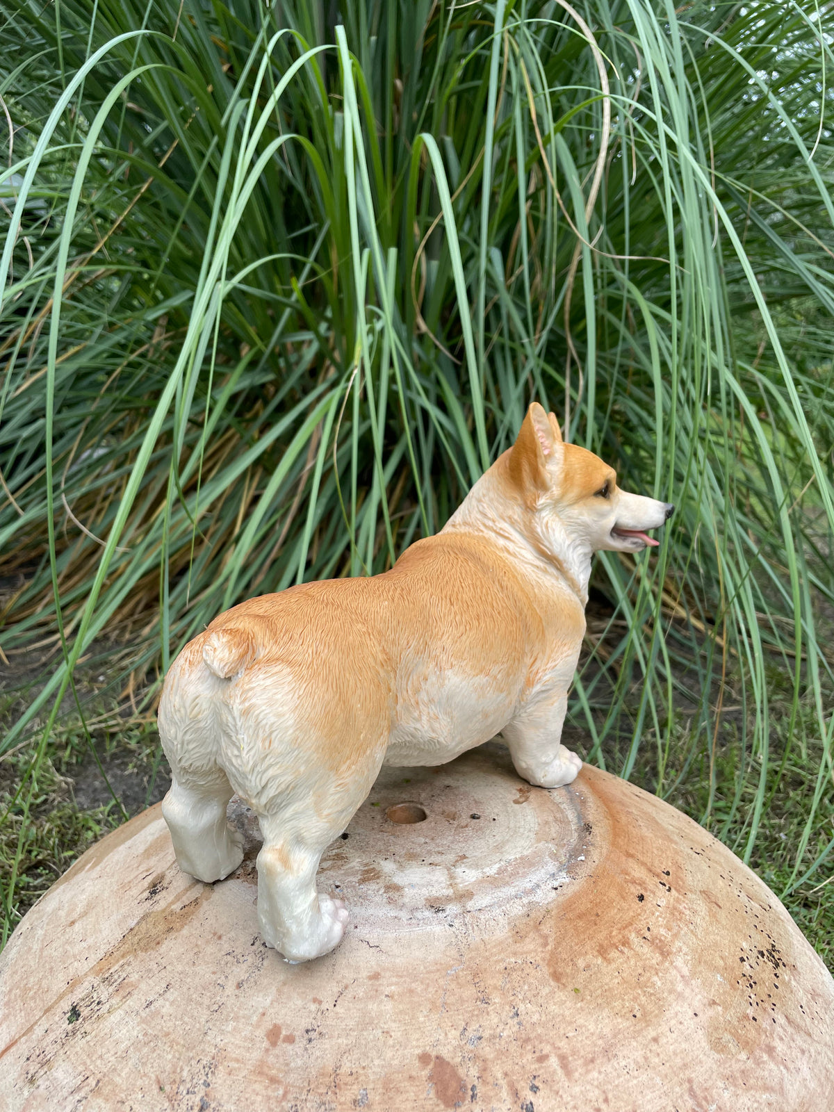 Welsh Corgi hond 30cm