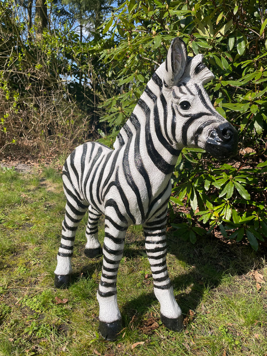Beeld zebra, tuin, zwembad, vijver, woonkamer 70cm