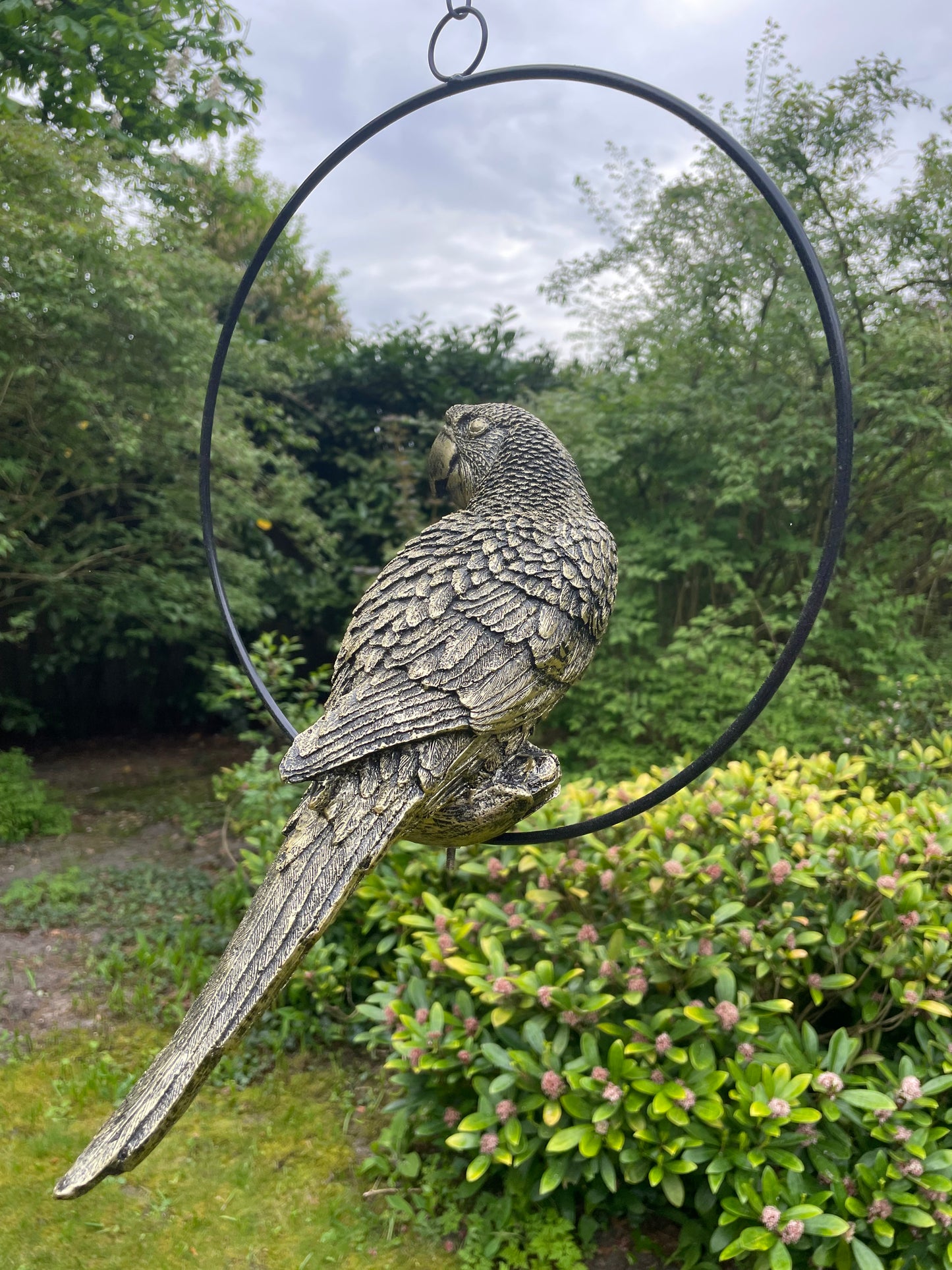Beeld papegaai Goud tuin, zwembad, vijver, balkon 35cm