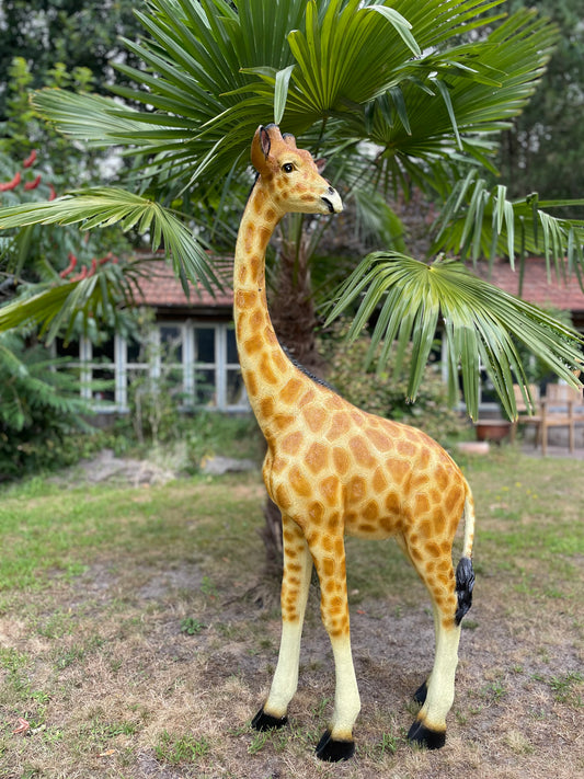 Grote Giraffe Tuinbeeld – Realistisch Dierenbeeld voor Babykamer of Buiten 150cm