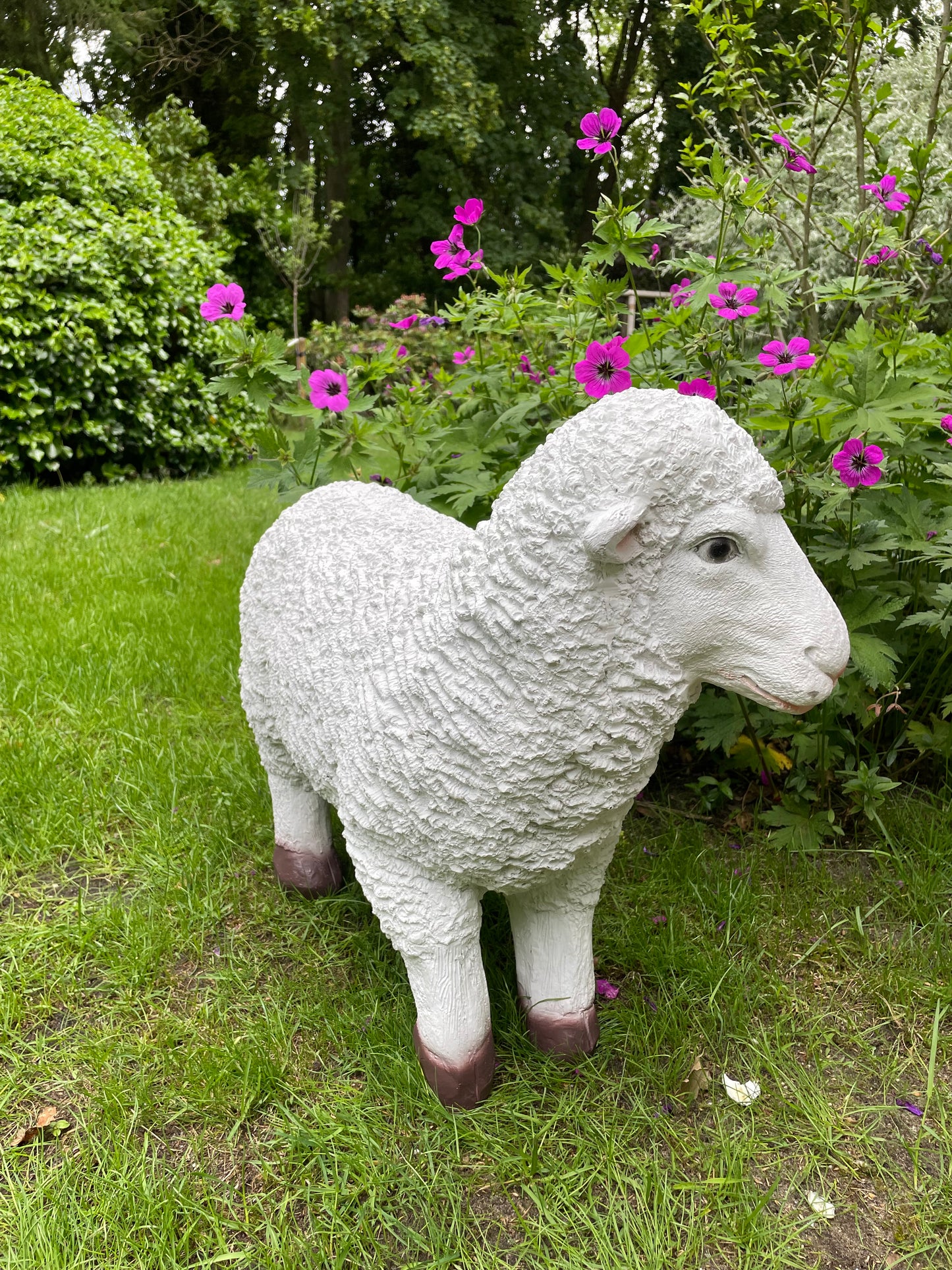 Set Merino wolschapen, gazon, tuin, boerderij 70-65cm