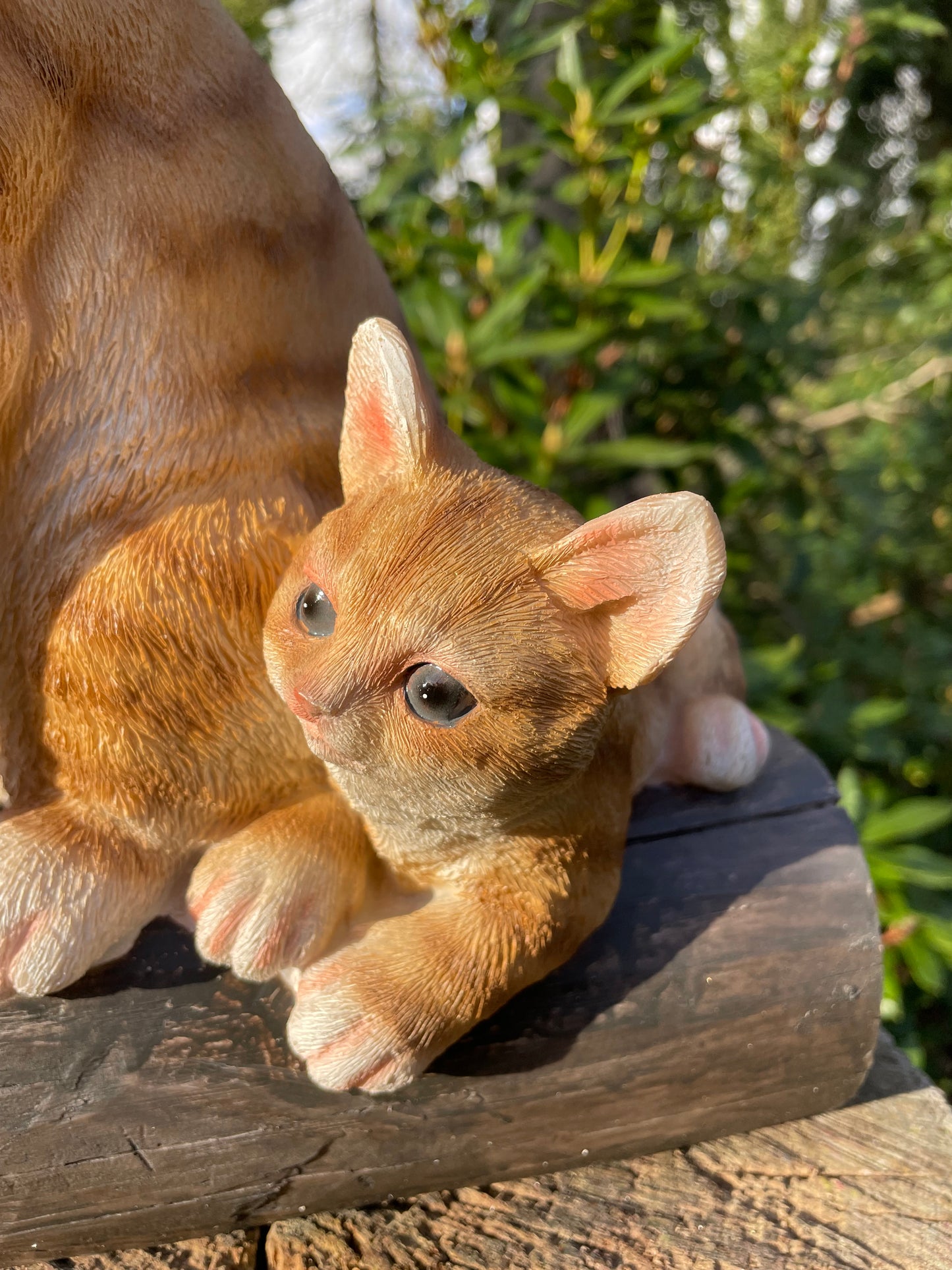 Poes, kitten boomstronk, tuin, gazon, boerderij 37cm