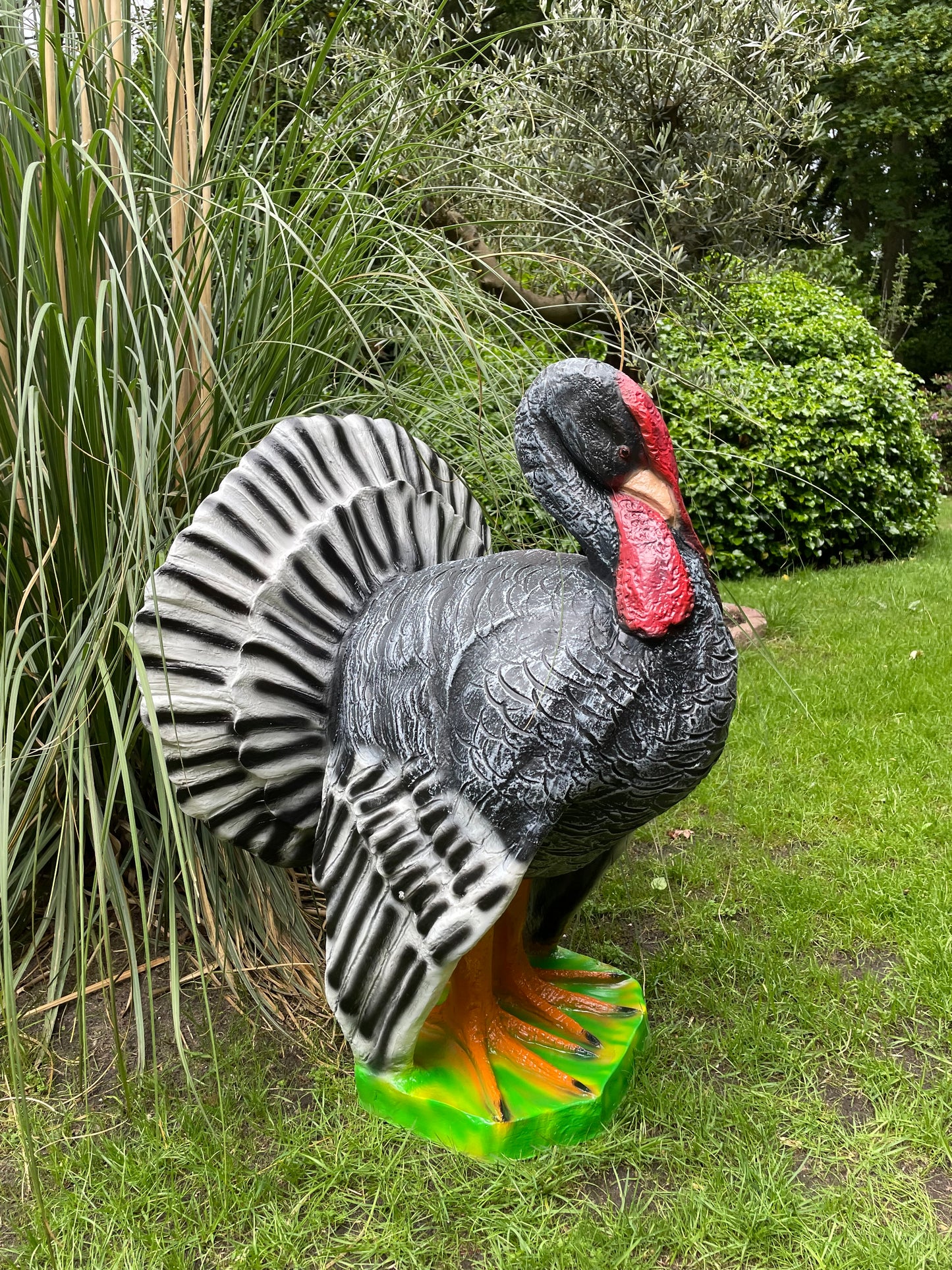 Kalkoen tuin, gazon, boerderij 90cm
