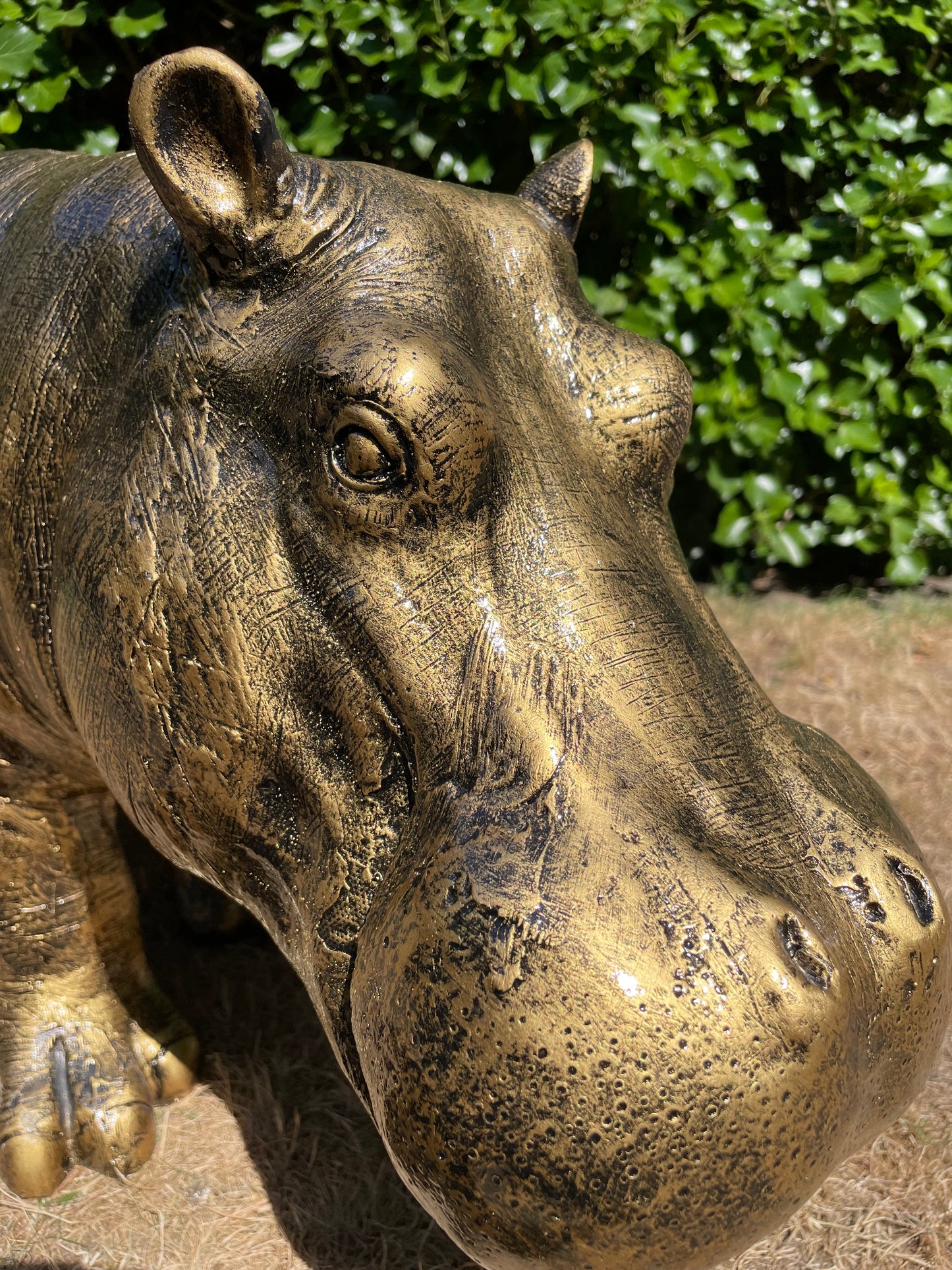 Beeld Nijlpaard, hippo, vijver, tuin 90 cm